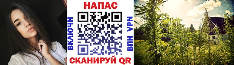 дарнет шоп  hydra зеркало  Шишки марихуана ГИДРОПОН  Сосенский 